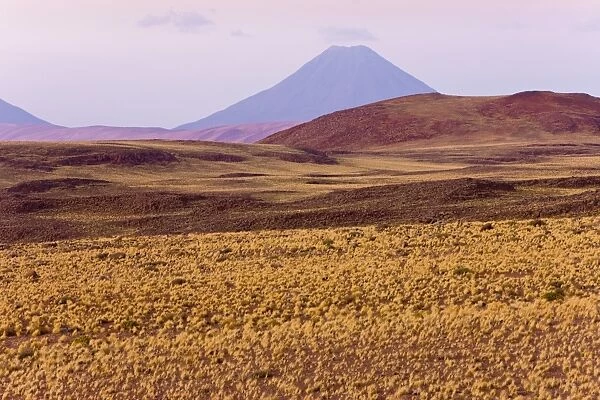 The altiplano at an altitude of over 4000m looking towards Volcan Chiliques at 5727m
