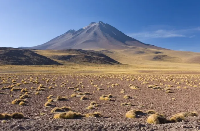 Framed Print : The altiplano at an altitude of over 4000m and the peak of Cerro Miniques at 5910m Framed Print : The altiplano at an altitude of over 4000m and the peak of Cerro Miniques at 5910m