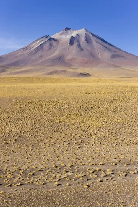Framed Print : The altiplano at an altitude of over 4000m and the peak of Cerro Miniques at 5910m Framed Print : The altiplano at an altitude of over 4000m and the peak of Cerro Miniques at 5910m