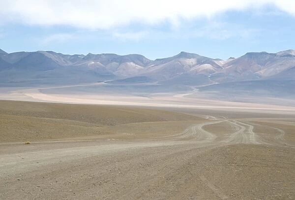 Altiplano desert near Laguna Colorada, Southwest Highlands, Bolivia, South America