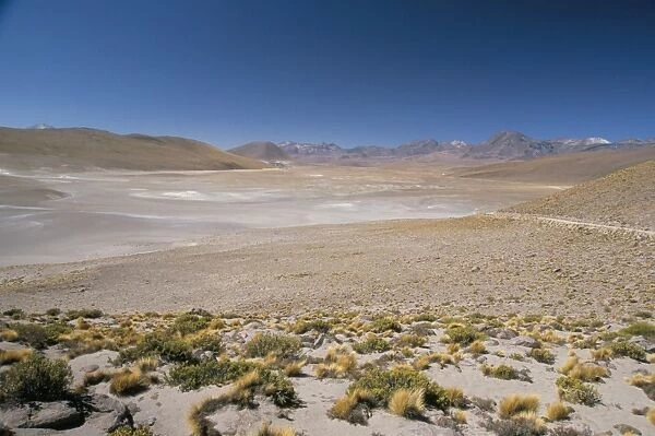 Altiplano and high-level volcanoes, El Tatio basin, above Calama, Atacama Desert