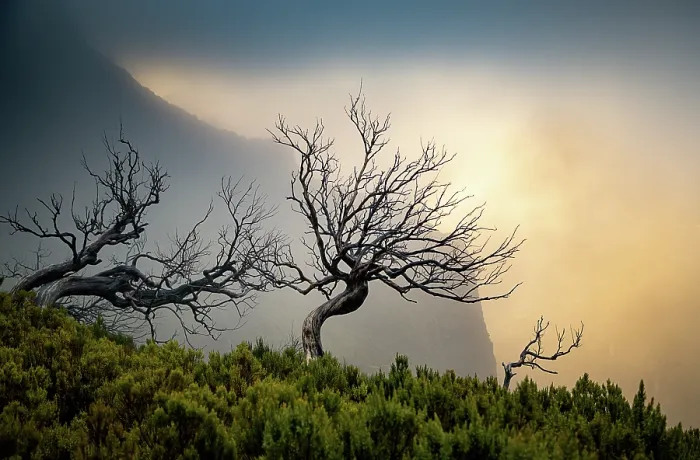 Framed Print : amazing sunrise in the mountains between Pico Do Arieiro and Pico Ruivo, Madeira, Portugal Framed Print : amazing sunrise in the mountains between Pico Do Arieiro and Pico Ruivo, Madeira, Portugal