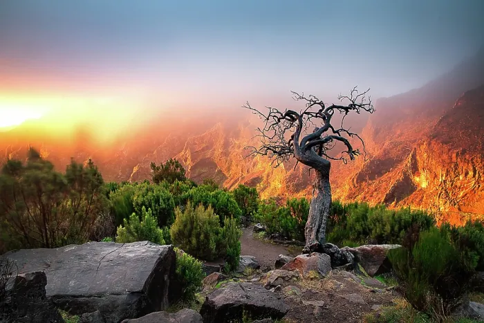 Framed Print : amazing sunrise in the mountains between Pico Do Arieiro and Pico Ruivo, Madeira, Portugal Framed Print : amazing sunrise in the mountains between Pico Do Arieiro and Pico Ruivo, Madeira, Portugal