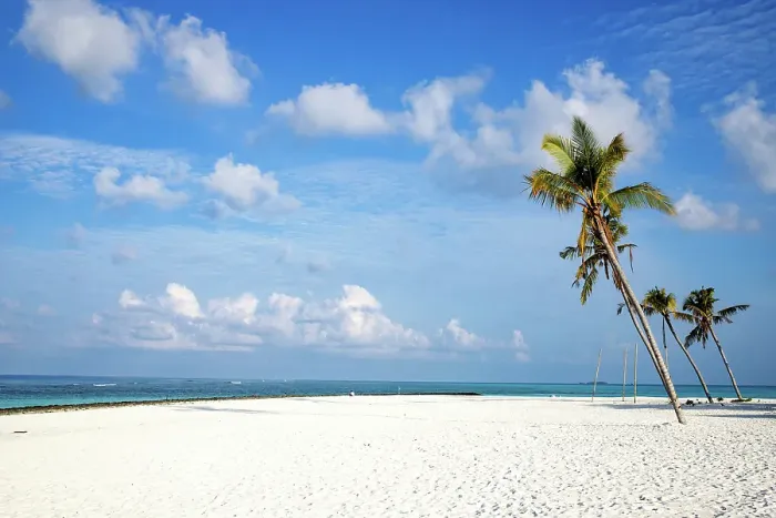 Framed Print : Amazing tropical island with palm trees, The Maldives, Indian Ocean