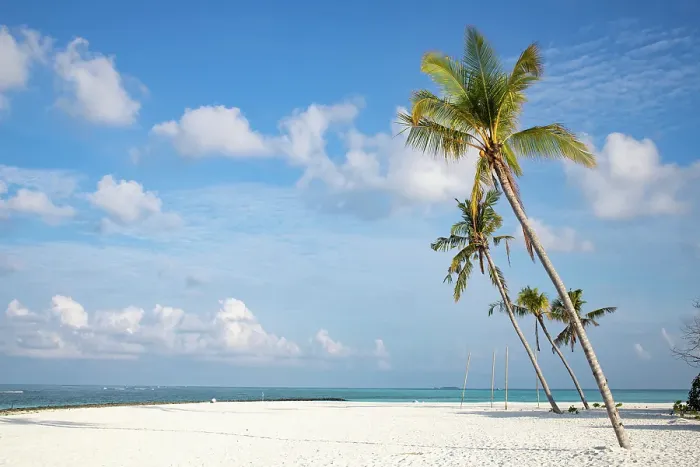 Framed Print : Amazing tropical island with palm trees, The Maldives, Indian Ocean