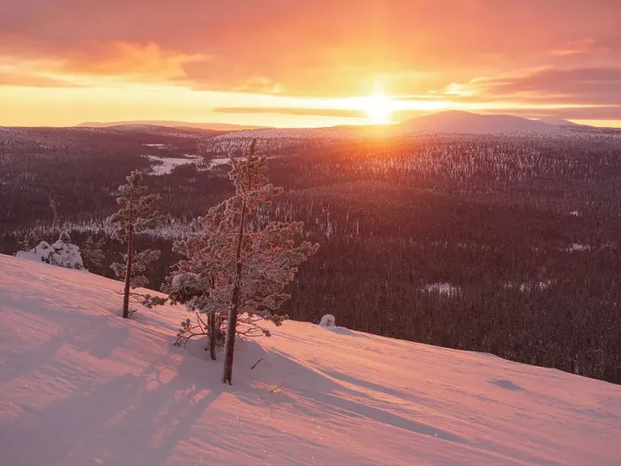 Framed Print : An amazing winter sunrise in Pallastunturi National Park shot by drone, Pallastunturi, Finland, Europe Framed Print : An amazing winter sunrise in Pallastunturi National Park shot by drone, Pallastunturi, Finland, Europe