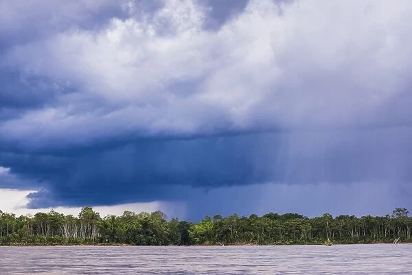 Amazon Rainforest storm, Coca, Ecuador, South America