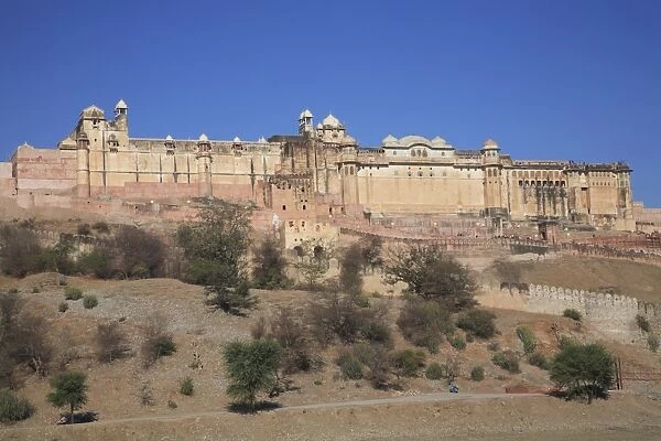 Amber Fort Palace, Jaipur, Rajasthan, India, Asia