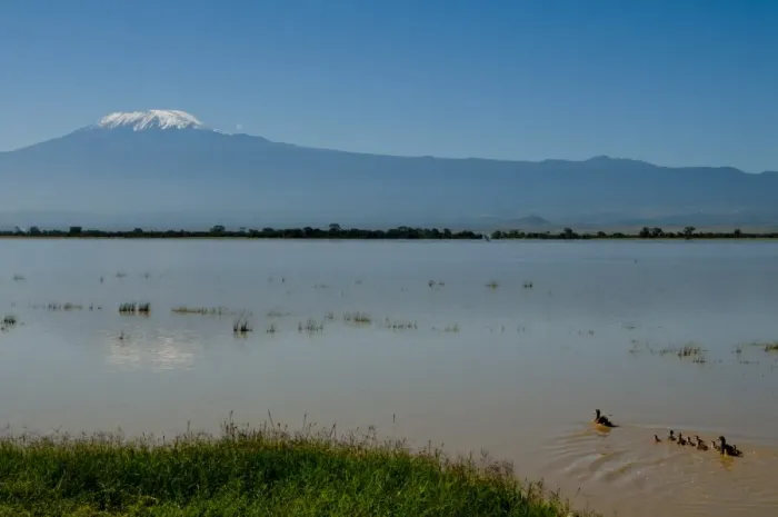 Framed Print : Amboseli National Park and Mount Kilimanjaro, Kenya, East Africa, Africa Framed Print : Amboseli National Park and Mount Kilimanjaro, Kenya, East Africa, Africa