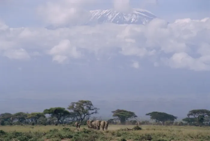 Framed Print : Amboseli National Park and Mt Framed Print : Amboseli National Park and Mt