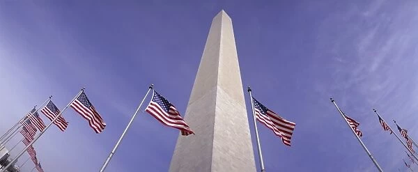 American flags and the Washington Monument, Washington D