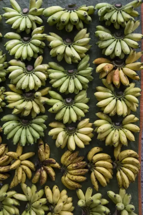 Framed Print : AMO5818. Bananas for sale on a market stall, Miri