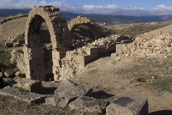 Amphitheatre, Roman ruins, Lambaesis, Algeria, North Africa, Africa
