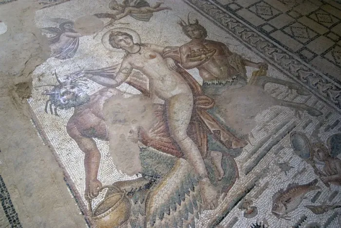 Framed Print : Part of Amphitrite mosaic, House of Amphitrite, Roman ruin of Bulla Regia Framed Print : Part of Amphitrite mosaic, House of Amphitrite, Roman ruin of Bulla Regia