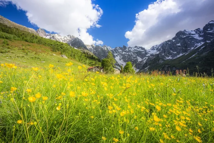 Framed Print : Ancient group of huts between summer flowers, Val d Arigna, Valtellina, Orobie Alps Framed Print : Ancient group of huts between summer flowers, Val d Arigna, Valtellina, Orobie Alps