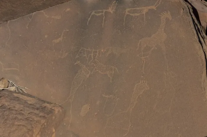 Framed Print : Ancient rock engravings, Twyfelfontein, UNESCO World Heritage Site, Namibia, Africa Framed Print : Ancient rock engravings, Twyfelfontein, UNESCO World Heritage Site, Namibia, Africa