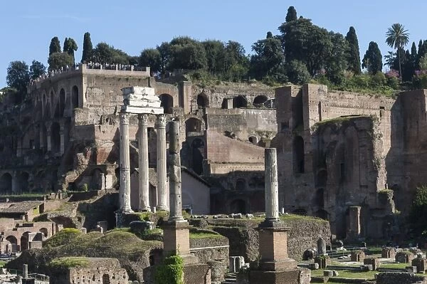 Ancient Roman Forum and the three columns of Temple of Castor and Pollux, UNESCO