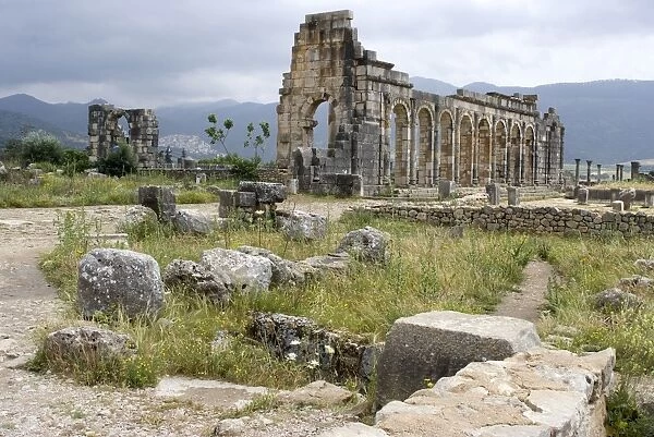 The ancient Roman site of Volubilis, UNESCO World Heritage Site, near Meknes