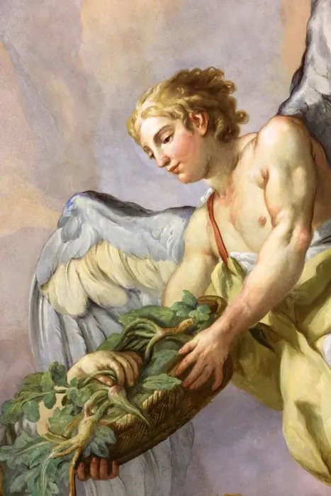 Framed Print : Angel holding a basket with roots, fresco by Johann Michael Rottmayrr, Karlskirche (St Framed Print : Angel holding a basket with roots, fresco by Johann Michael Rottmayrr, Karlskirche (St