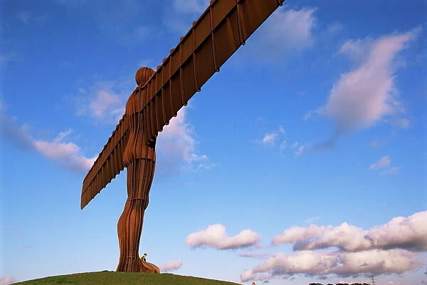 Angel of the North, sculpture by Anthony Gormley, Newcastle-upon-Tyne, Tyne and Wear