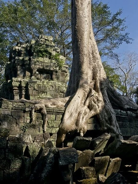 Angkor Wat Archaeological Park, UNESCO World Heritage Site, Siem Reap, Cambodia, Indochina