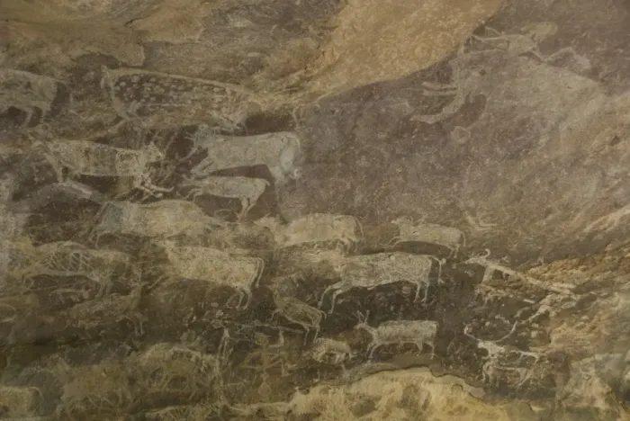 Framed Print : Some of the animals in the Palaeolithic artwork on the roof of the Zoo Cave Framed Print : Some of the animals in the Palaeolithic artwork on the roof of the Zoo Cave