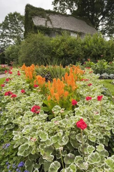 Framed Print : Annapolis Royal Historic Gardens, Annapolis Royal, Nova Scotia, Canada, North America Framed Print : Annapolis Royal Historic Gardens, Annapolis Royal, Nova Scotia, Canada, North America