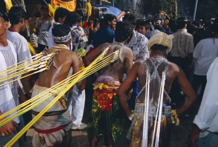 Framed Print : Annual Hindu festival of Thaipusam Framed Print : Annual Hindu festival of Thaipusam