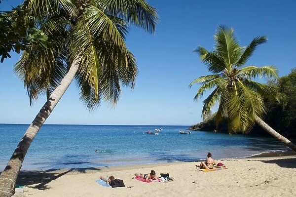 Anse Dufour beach, Martinique, French West Indies, Caribbean, Central America
