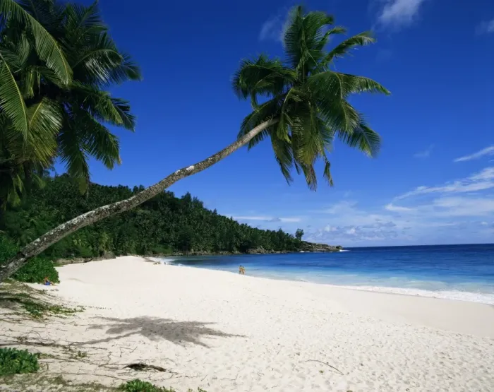 Framed Print : Anse Interdance Framed Print : Anse Interdance