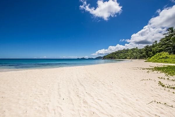 Anse A La Mouche Beach, Mahe, Republic of Seychelles, Indian Ocean, Africa