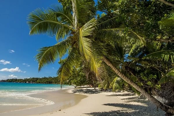 Anse Lazio Beach, Praslin, Republic of Seychelles, Indian Ocean, Africa