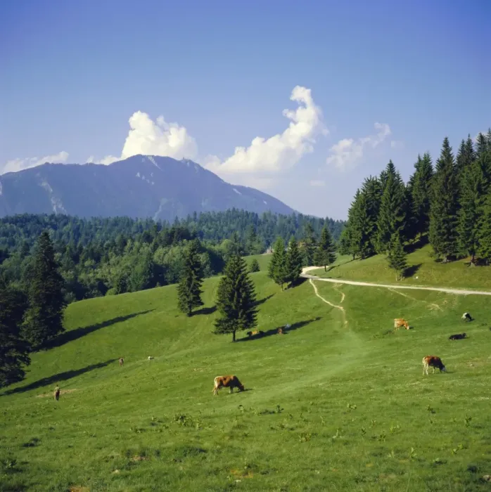 Framed Print : Apline pastures on the edge of the Bucegi Mountains, Carpathian Mountains