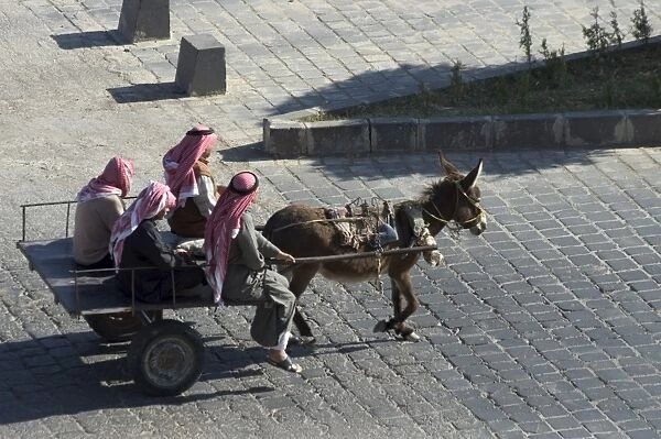 Arab men in donkey cart