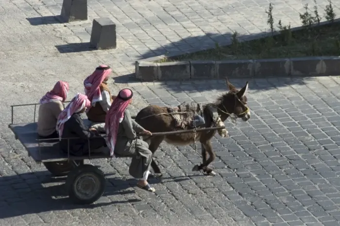 Framed Print : Arab men in donkey cart Framed Print : Arab men in donkey cart