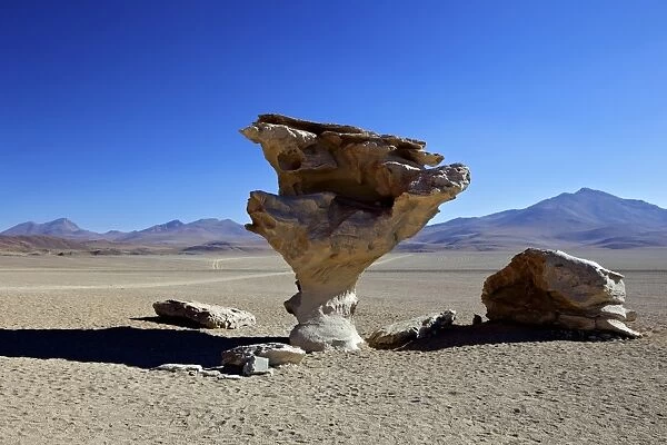 Arbol de Piedra (stone tree), wind eroded rock near Laguna Colorada, Southwest Highlands, Bolivia, South America