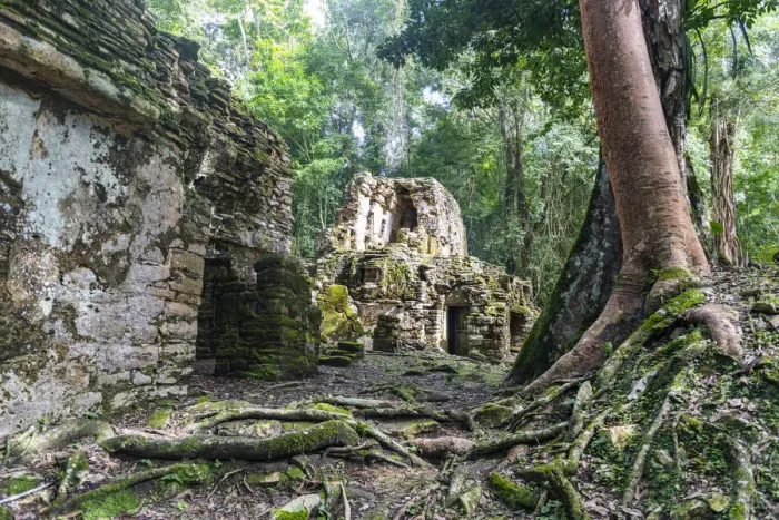 Framed Print : Archaeological Maya site of Yaxchilan in the jungle of Chiapas, Mexico, North America Framed Print : Archaeological Maya site of Yaxchilan in the jungle of Chiapas, Mexico, North America