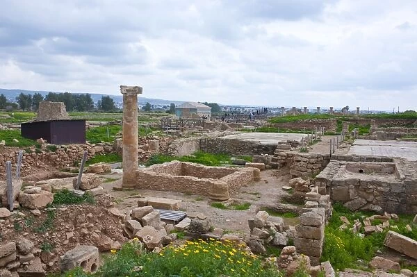 The archaeological site of Paphos, UNESCO World Heritage Site, Cyprus, Europe