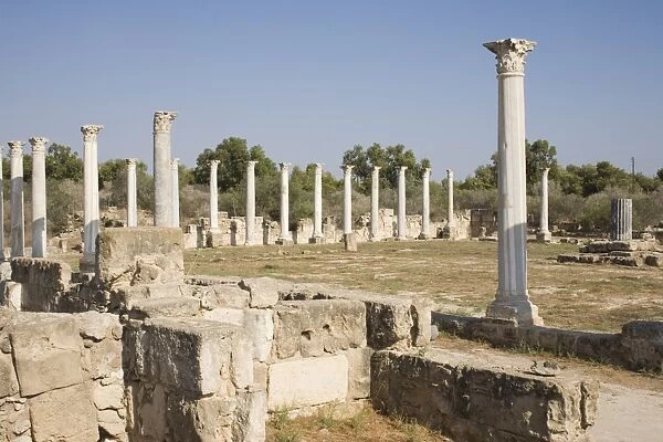 The archaeological site of Salamis, Salamis, North Cyprus, Europe