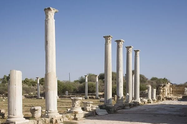 The archaeological site of Salamis, Salamis, North Cyprus, Europe