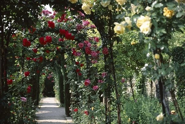 Arches covered with roses