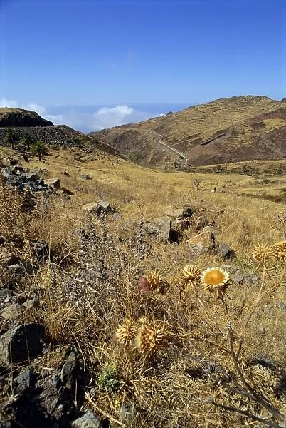 Area between Alajero and Erquito, La Gomera, Canary Islands, Spain, Europe