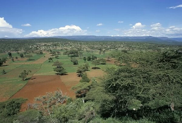 Area deforested and cleared for intense farming, Lake Langano, Ethiopia, Africa