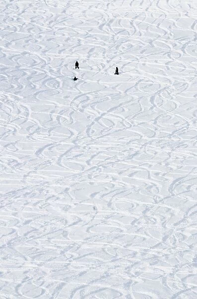 Argentiere and Grand Montet ski area, Chamonix Valley, Haute-Savoie, French Alps, France, Europe