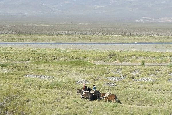 Argentine cowboys in the pampas, near Malargue, Argentina, South America