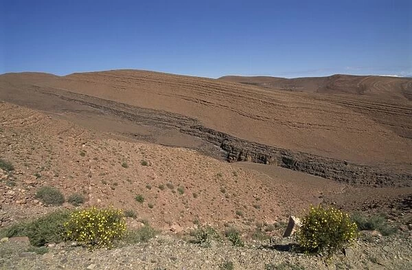 Arid landscape of the Draa Valley