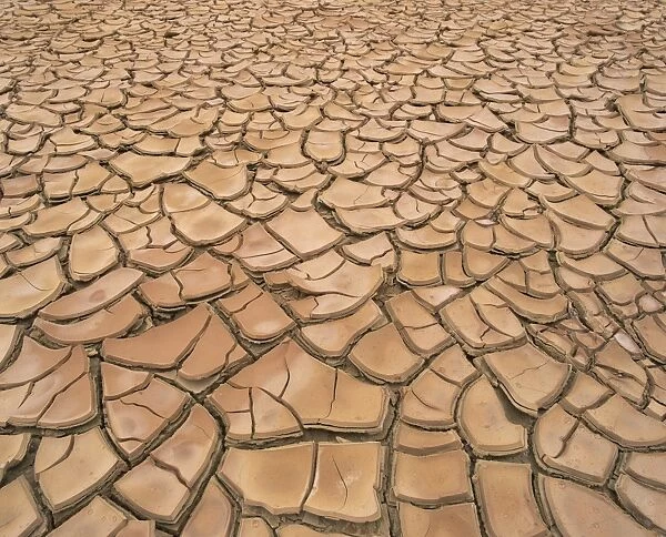 Arid landscape of dry cracked earth in a drought, South Australia, Australia, Pacific