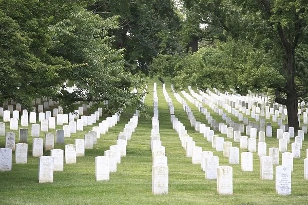Arlington National Cemetery, Arlington, Virginia, United States of America, North America