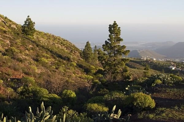 Arona, Roque de Jama from La Escolona, south west Tenerife interior, Canary Islands