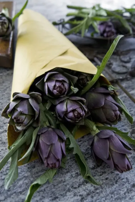 Framed Print : Artichokes in a bag, Italy, Europe Framed Print : Artichokes in a bag, Italy, Europe